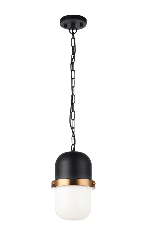 Tillie Matte Black Pendant