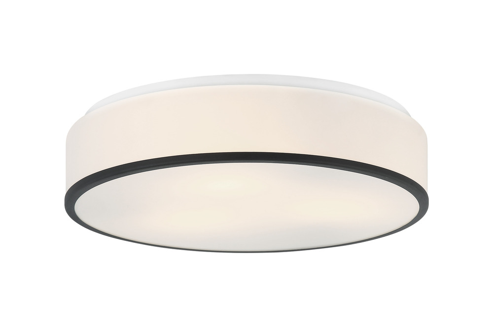 Echo Matte Black Ceiling Mount