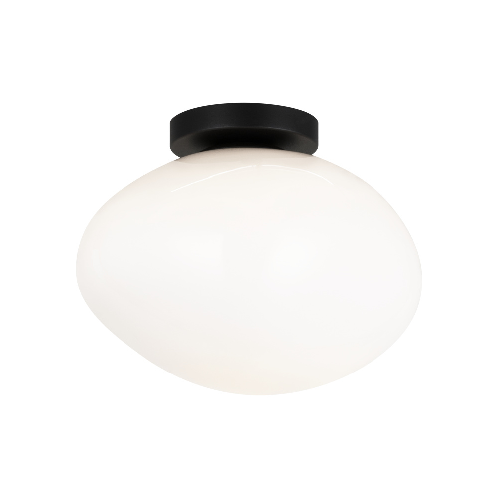 Melotte Black Wall Sconce / Ceiling Mount
