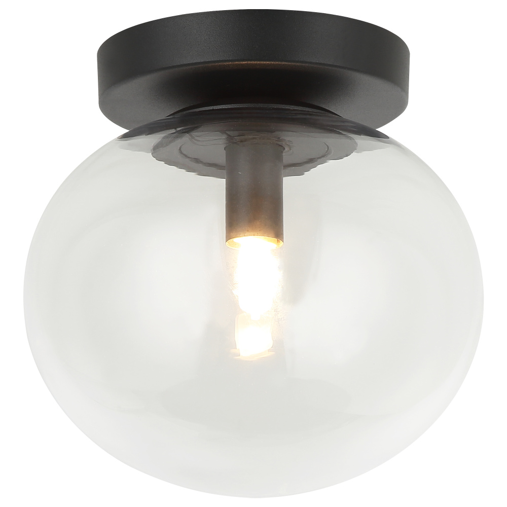 Bulbus Matte Black Ceiling Mount