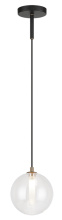 C81011CL_B.jpg