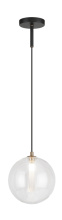 C81021CL_B.jpg