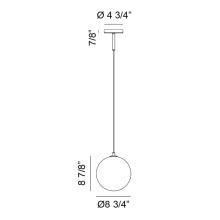 C81021CL_D.jpg