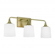 Capital Lighting 148931AD-541 - 3-Light Vanity