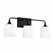 Capital Lighting 148931MB-541 - 3-Light Vanity