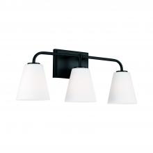 Capital Lighting 149431MB-543 - 3-Light Vanity