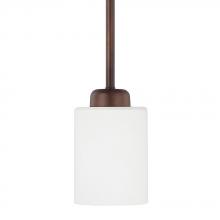 Capital Lighting 315211BZ-338 - 1 Light Pendant