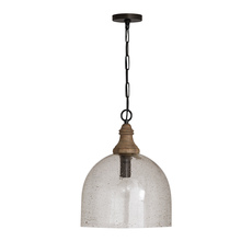 Capital Lighting 336011YP-484 - 1 Light Pendant