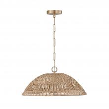 Capital Lighting 347511MA - 1-Light Pendant