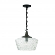 Capital Lighting 347611CK - 1-Light Pendant