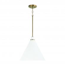 Capital Lighting 350112AW - 1-Light Pendant