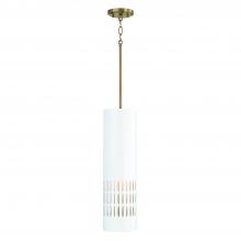 Capital Lighting 350211AW - 1-Light Pendant
