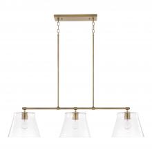 Capital Lighting 846931AD - 3 Light Island