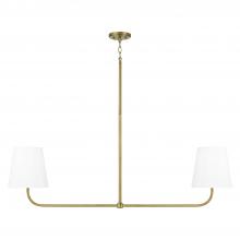 Capital Lighting 849421AD - 2-Light Island