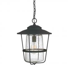 Capital Lighting 9604BK - 1 Light Outdoor Hanging Lantern