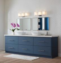 PROG_Estrada_Chrome_Bathroom_P300478-015_Day_LightsOn_appshot.jpg