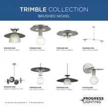 PROG_Trimble_Brushed_Nickel_GeneralLit.jpg