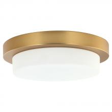 Maxilite MX 3383-18 - Derby