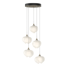 Hubbardton Forge - Canada 131123-SKT-STND-84-FD0710 - Ume 5-Light Pendant