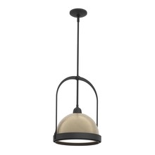 Hubbardton Forge - Canada 187462-SKT-MULT-10-84 - Atlas Small Pendant