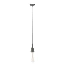 Hubbardton Forge - Canada 188900-SKT-MULT-20-ZM0617 - Fritz Mini Pendant