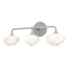 Hubbardton Forge - Canada 201342-SKT-82-82-FD0710 - Ume 3-Light Curved Arm Bath Sconce