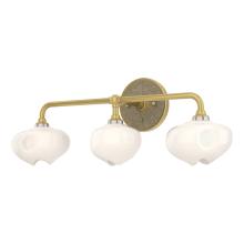 Hubbardton Forge - Canada 201342-SKT-86-84-FD0710 - Ume 3-Light Curved Arm Bath Sconce