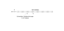 2d-cobtp24v-r100ft-cc-01.jpg