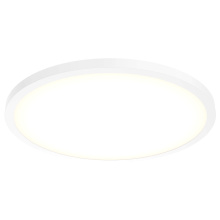 Dals CFLEDR24-CC-V-WH - Round Flush Mount, universal 120V-347V, 0-10V dimming